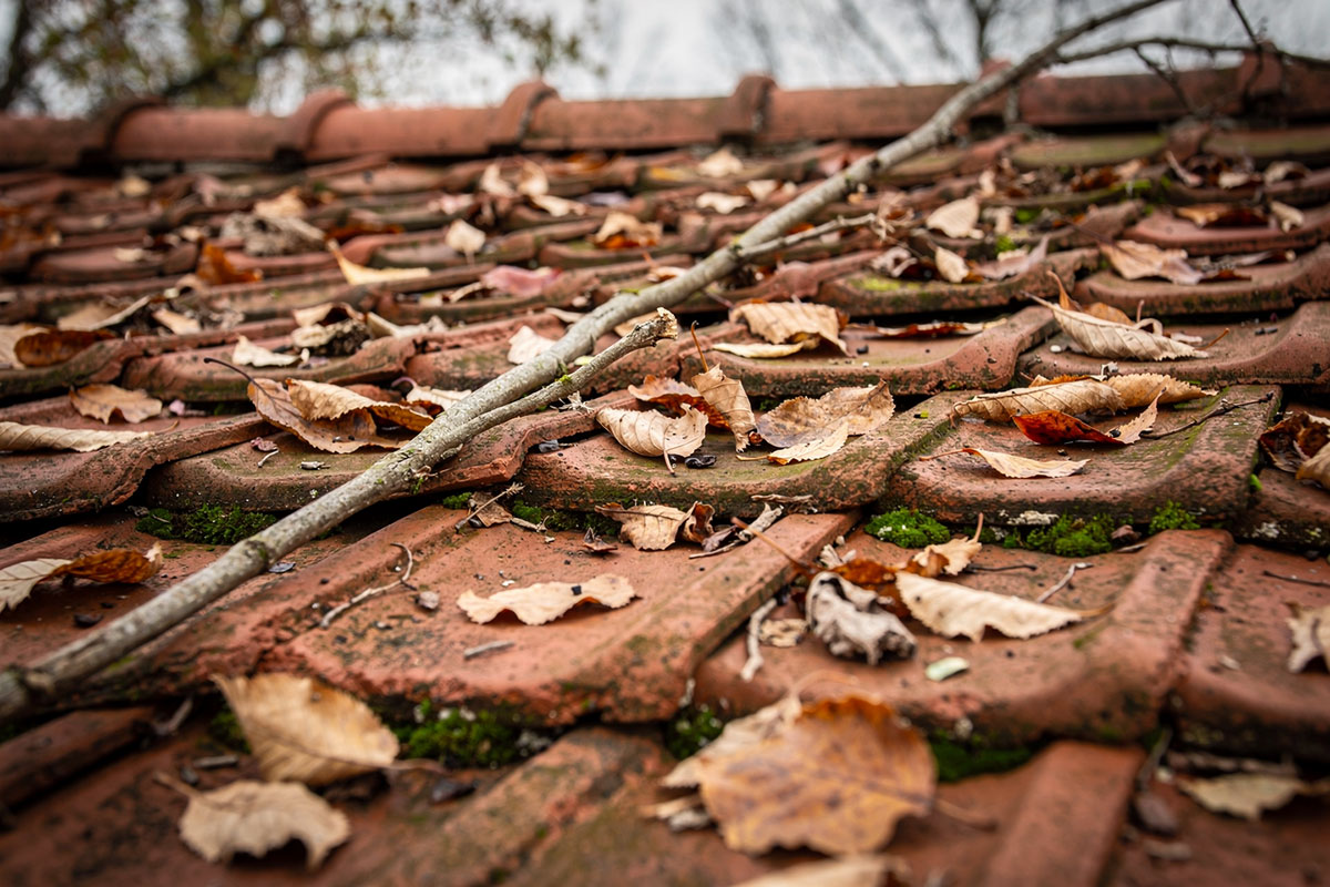 Tiilikaton puhdistus